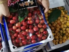 -南京众彩农副产品配送有限公司
