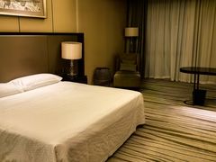 -廊坊固安福朋喜来登酒店