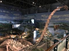 -自贡恐龙博物馆