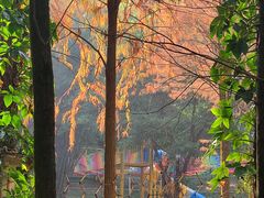 -广州市白云山风景名胜区