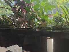 -沸腾鱼乡(知春路分店)