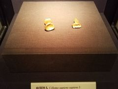 -北京周口店北京人遗址博物馆