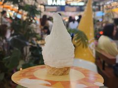 -野人先生Gelato(上海长宁龙之梦店)