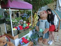 -济州岛泰迪熊博物馆