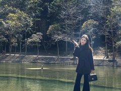 -龙湾潭国家森林公园
