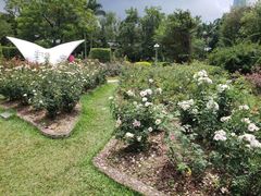 -人民公园(罗湖区)