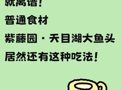 -紫藤园·天目湖大鱼头(南山竹海店)