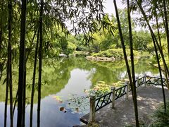 -上海共青森林公园