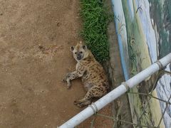 -西霞口神雕山野生动物世界