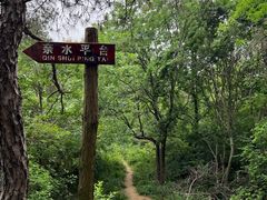 -青龙山国家森林公园