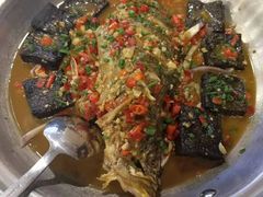 -饭怕鱼(阳光100店)