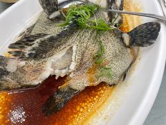 -五谷芳乳鸽王(海景店)