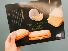 -中部国际机场