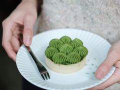 抹茶挞-猫里有甜