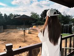 -杭州野生动物世界