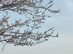 -颐和园