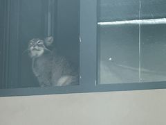 -青藏高原野生动物园