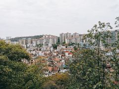 -佛山华盖山公园