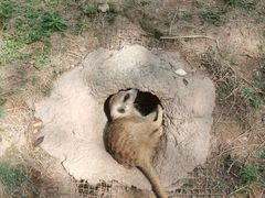 -灵玲国际马戏城