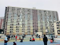 -彩虹村