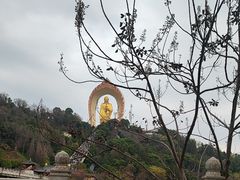 -庐山风景名胜区-东林大佛