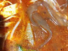 砂锅粉带-清真·马文砂锅大全(麦苋街店)
