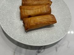 -欢乐海岸美食联盟