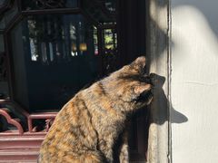 -西园寺素食(西园弄戒幢律寺店)