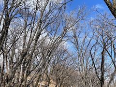 -帽儿山国家森林公园