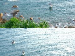-玫瑰海岸文化旅游度假区