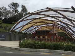 -怀托摩萤火虫洞