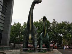 -河南自然博物馆