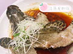 -紫阳海鲜楼·传承闽味(长乐路总店)