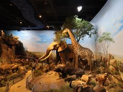 -陕西自然博物馆