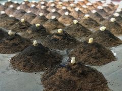 -成都许燎源现代设计艺术博物馆