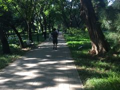 -玲珑塔公园