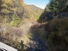 -苏木山森林公园