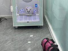 -爱洗澡的猫(望京店)