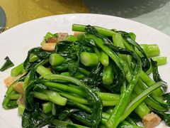 -老广酒楼(樱花店)