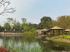 -成飞公园