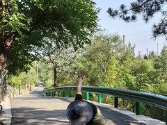 -白水寺森林公园