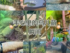 -红山森林动物园