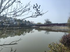 -梅城古镇
