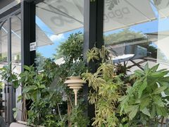 -gaga(深圳南山益田假日广场店)
