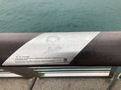 -星光大道