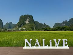 -明仕田园