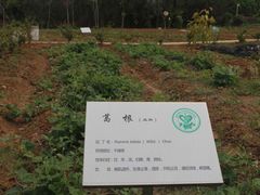 -南京医科大学(江宁校区)