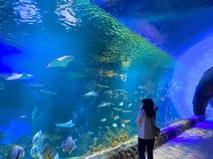 -华夏文旅海洋公园