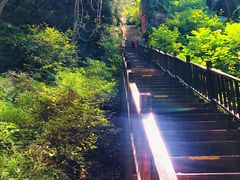-天女山森林公园