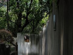 -南山植物园